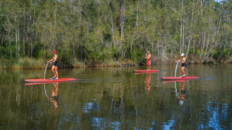 Sydney: Narrabeen Lagoon SUP Tour with Instructor - What to Expect During the Paddle