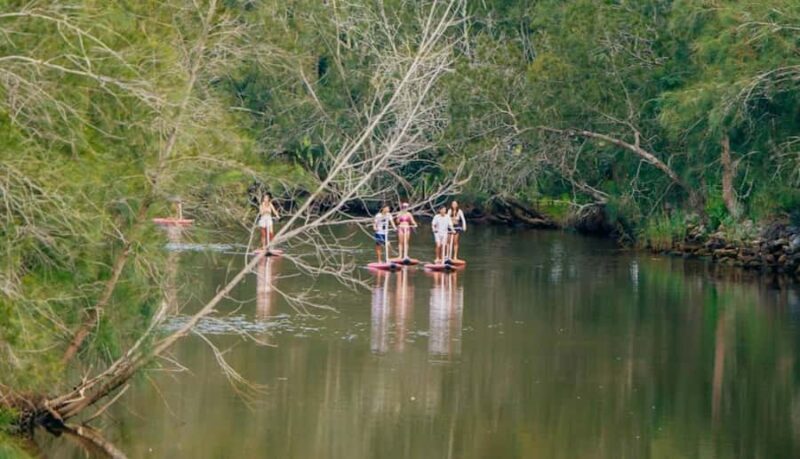 Sydney: Narrabeen Lagoon SUP Tour with Instructor - The Experience Provider and Group Dynamics
