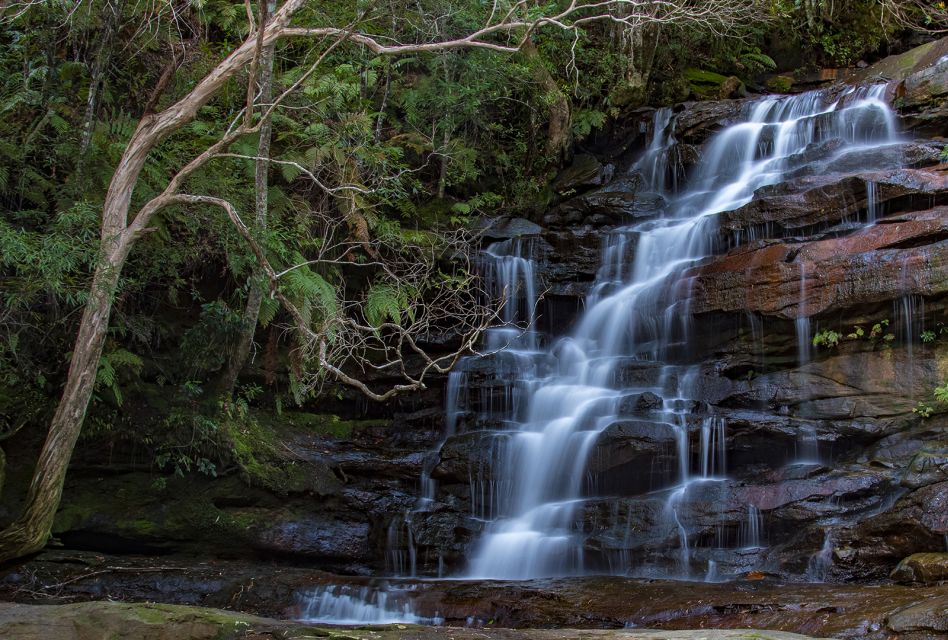 Sydney: Nature and Wildlife - Australia in One Day - Directions