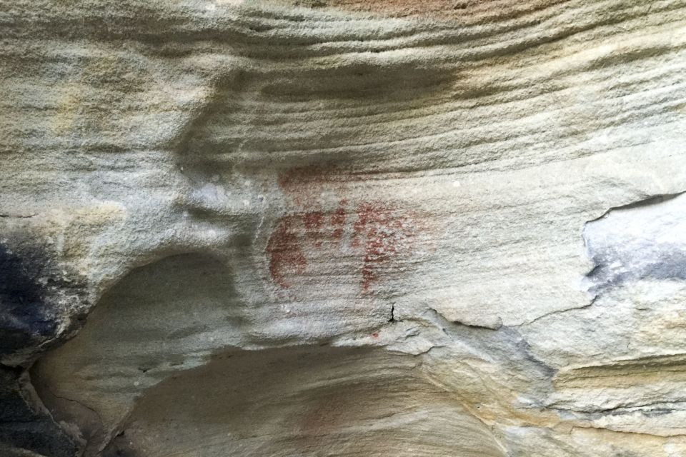 Sydney: Northern Beaches and Ku-ring-gai National Park Tour - Itinerary
