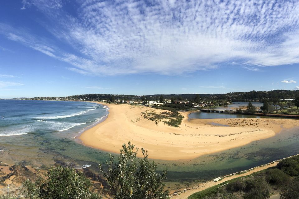 Sydney: Northern Beaches and Ku-ring-gai National Park Tour - Important Information