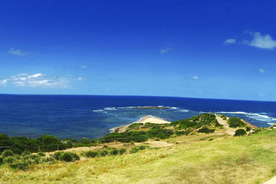 Sydney: Northern Beaches and Ku-ring-gai National Park Tour - Frequently Asked Questions