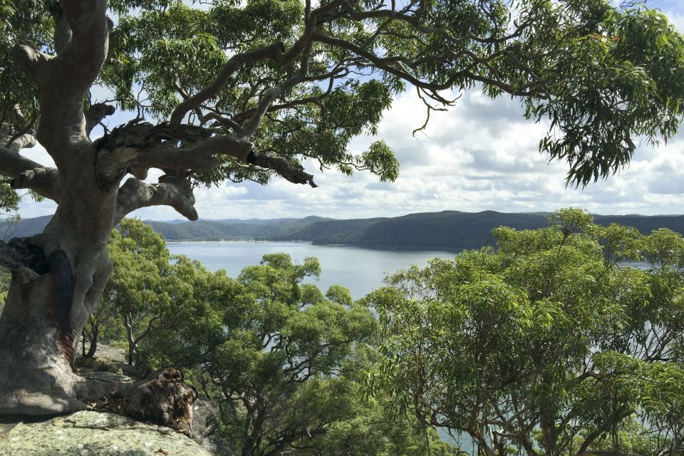 Sydney: Northern Beaches and Ku-ring-gai National Park Tour - Recap