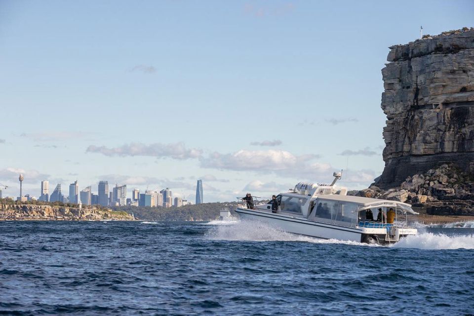 Sydney: Ocean Whale Watching Experience - Itinerary