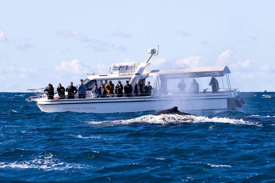 Sydney: Ocean Whale Watching Experience - Highlights