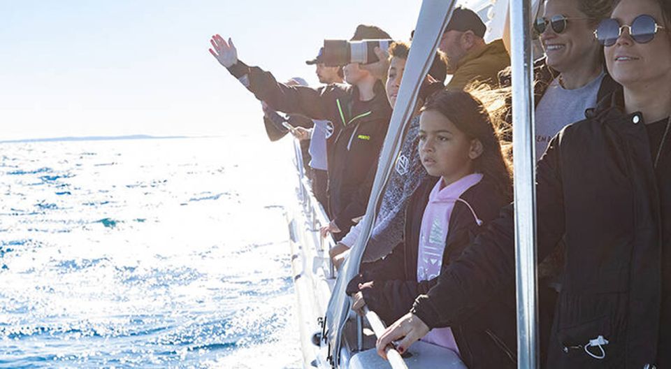 Sydney: Ocean Whale Watching Experience - Directions