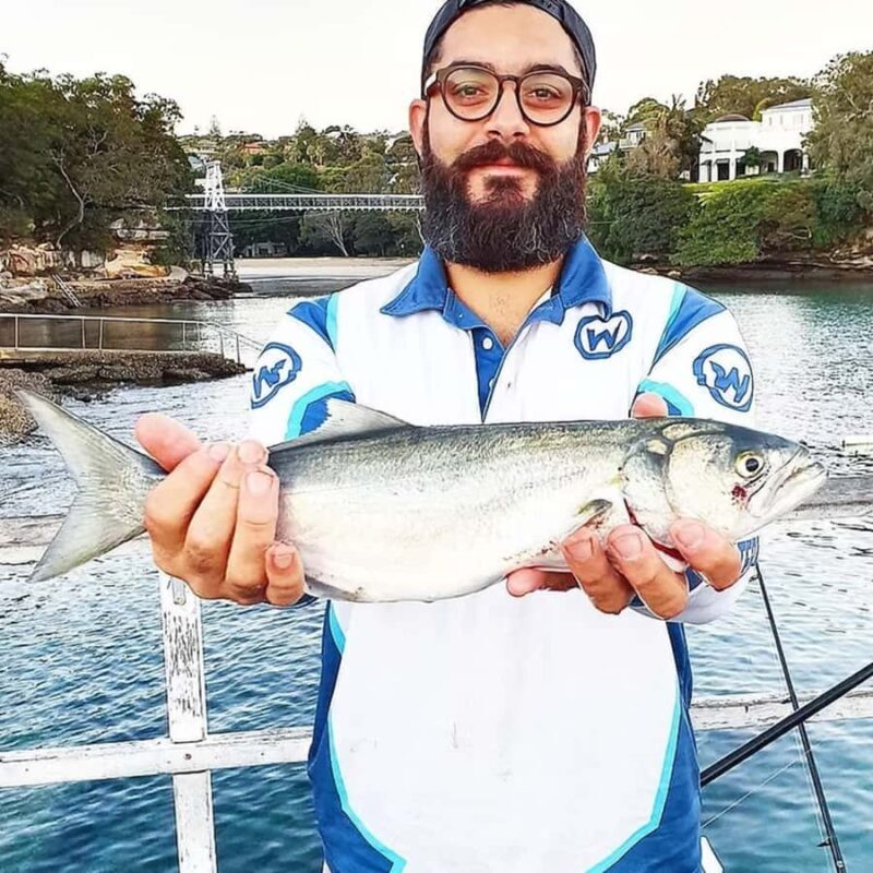 Sydney: Onshore Fishing Experience with Equipment - Key Points