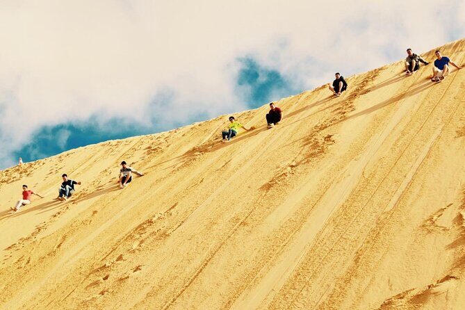 Sydney: Port Stephens Sandboarding, Dunes & Dolphin Cruise option - Key Points
