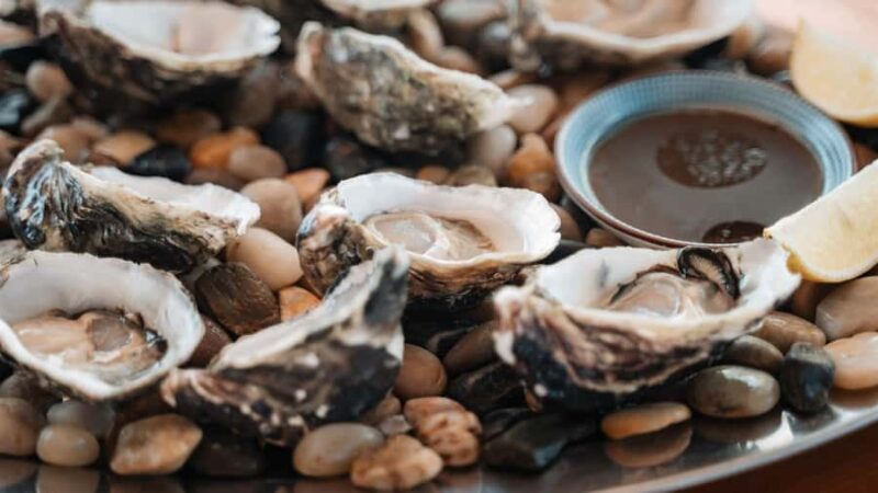 Sydney: Private 4-Hour Luxury Harbour Yacht Cruise and Swim - The Experience: What Makes It Stand Out