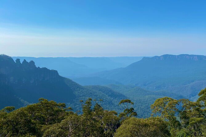 Sydney: PRIVATE Blue Mountains, Wildlife & Cruise Luxe Tour (10h) - Final Thoughts
