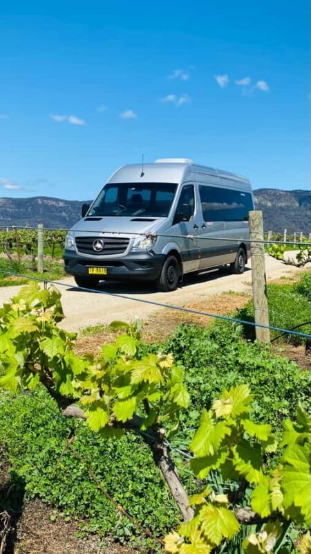 Sydney: Private Hunter Valley Premium Wine Tasting Luxe Tour - Key Points
