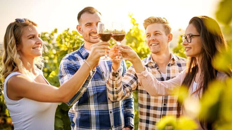 Sydney: Private Hunter Valley Premium Wine Tasting Luxe Tour - Final Thoughts