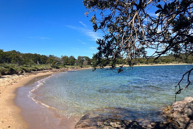 Sydney Private Tour Inc The Royal National Park and Symbio Zoo - Authentic Experiences and Guest Feedback