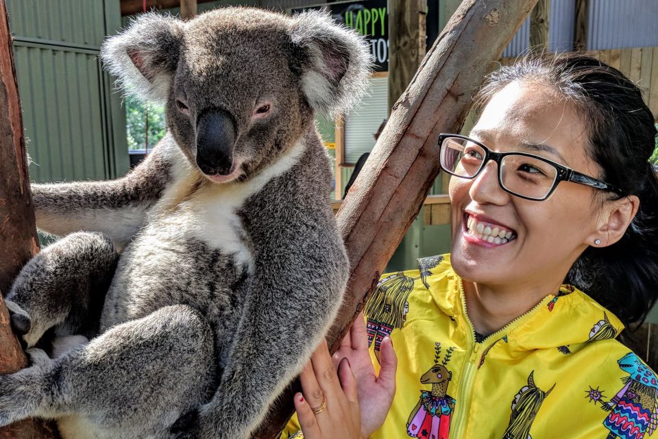 Sydney: Private Wildlife, Waterfalls and Wine Tour - Key Points