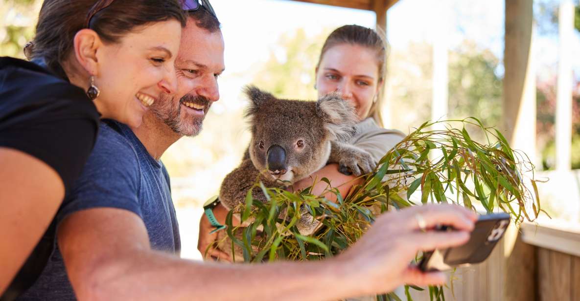 Sydney: Private Wildlife, Waterfalls and Wine Tour - Experience Itinerary