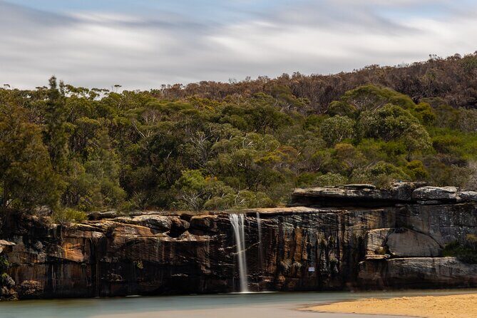 Sydney: Royal National Park Day Trip with Picnic and Swim - Discovering Sydney’s Natural Charm