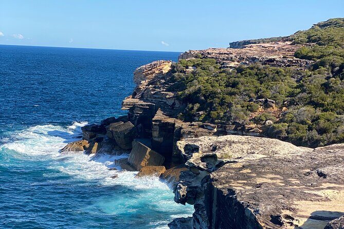 Sydney: Royal National Park Day Trip with Picnic and Swim - Who Will Love This Experience
