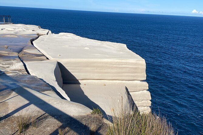 Sydney: Royal National Park Day Trip with Picnic and Swim - Wrapping Up: Who Is This Tour For?