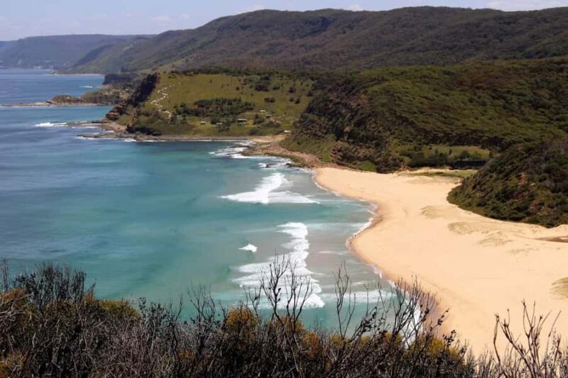 Sydney: Royal National Park private day tour - Who Should Consider This Tour?