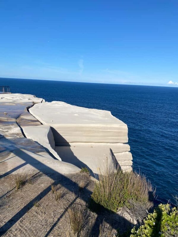 Sydney: Royal National Park tour with picnic - Key Points