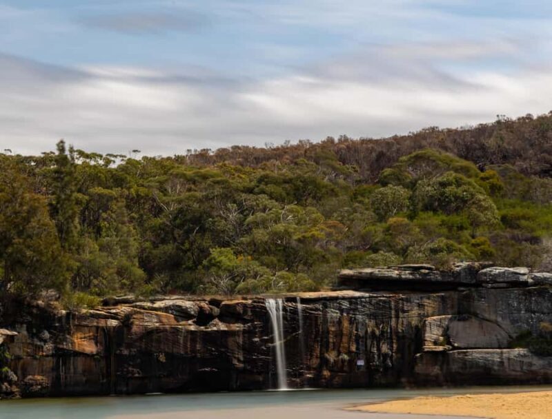 Sydney: Royal National Park tour with picnic - Authentic Insights from Reviewers