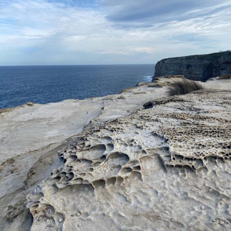 Sydney: Royal National Park tour with picnic - Who Would Love This Tour?