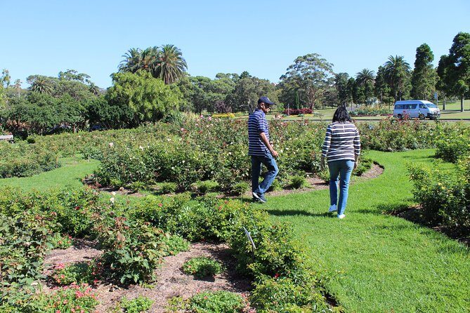 Sydney Shore Excursion: Half-Day Sydney City Highlights and Manly - Key Points