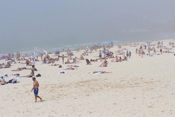 Sydney Shore Excursion: Half-Day Sydney City Highlights with Bondi Beach and Watsons Bay - Final Thoughts