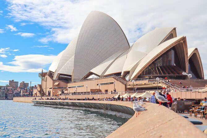 Sydney Six Beaches Trike Tour - The Sum Up: Who will enjoy the Sydney Six Beaches Trike Tour?
