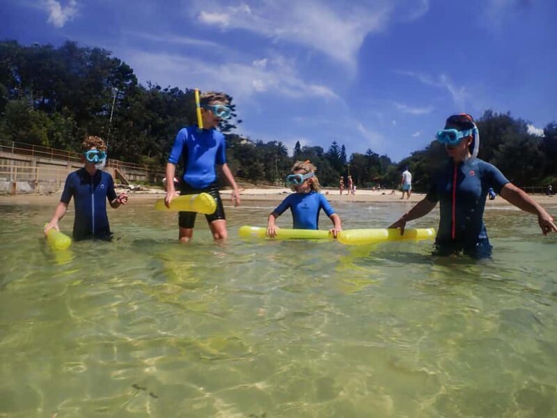 Sydney: Snorkeling Tour for Kids with Private Guide - A Closer Look at the Snorkeling Tour Experience