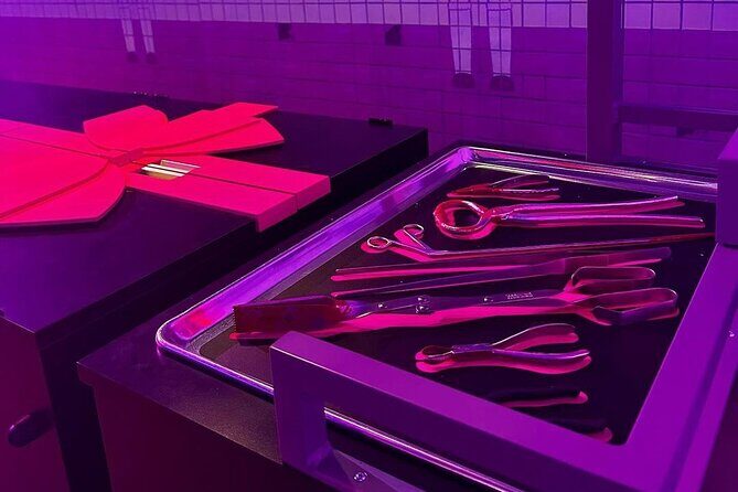 Sydney Squid Game Experience Entry Ticket - FAQ