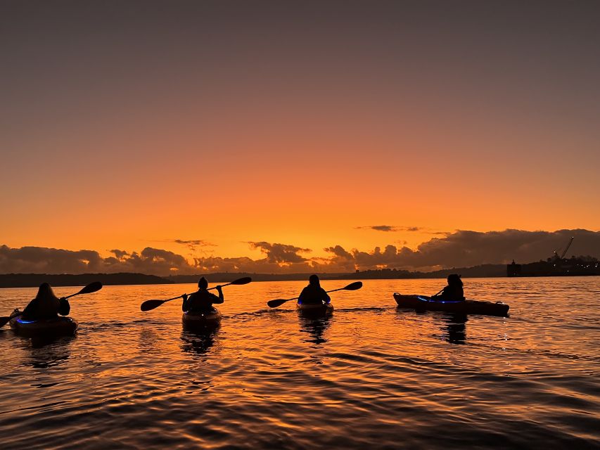 Sydney: Sunrise Kayak Tour on Sydney Harbour - Customer Reviews and Ratings
