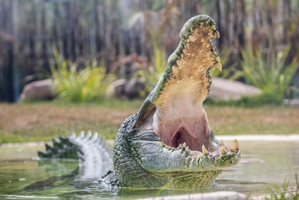 Sydney: Sydney Zoo Admission Ticket - Customer Reviews