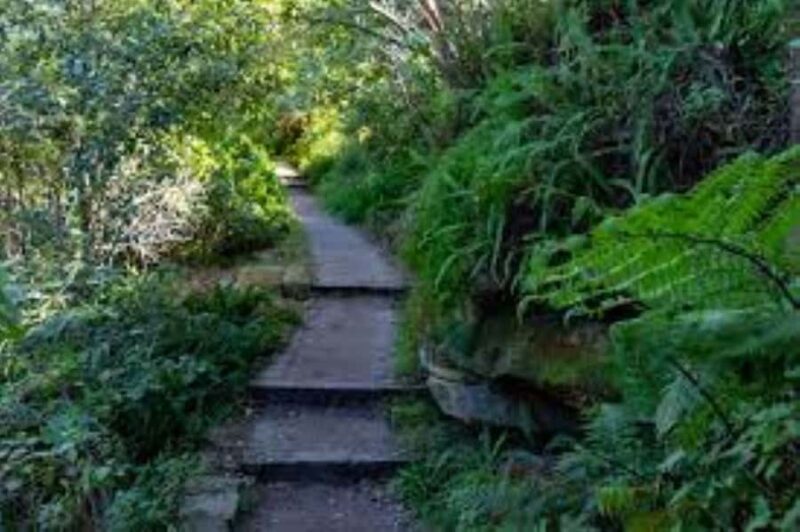 Sydney: Taronga to Balmoral Walk with picnic at Balmoral - A Guided Journey Through Sydney’s Natural and Historic Spaces