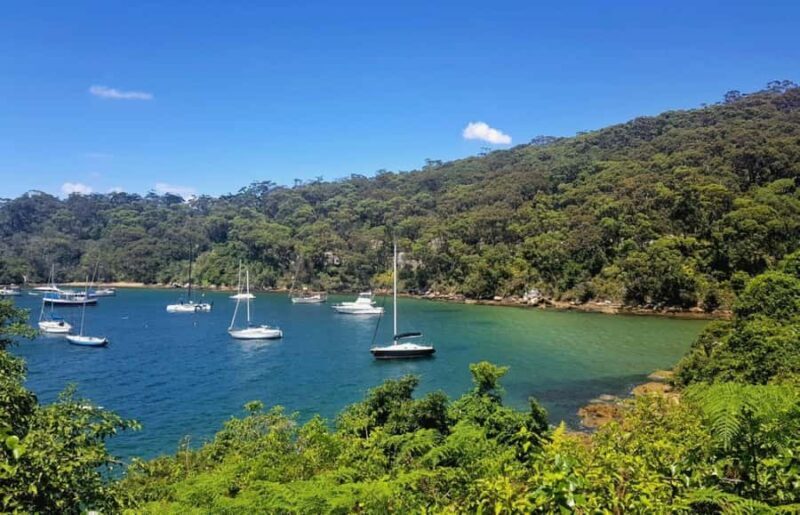 Sydney: Taronga to Balmoral Walk with picnic at Balmoral - The Picnic at Balmoral Beach