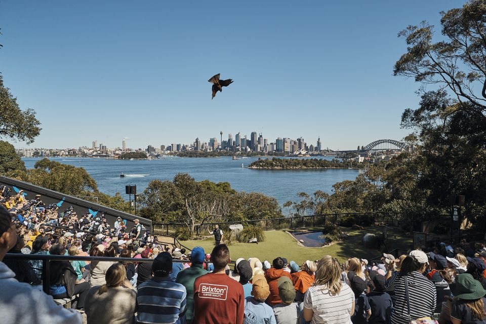 Sydney: Taronga Zoo & 24 or 48hr Sydney Harbour Hopper Pass - Key Points