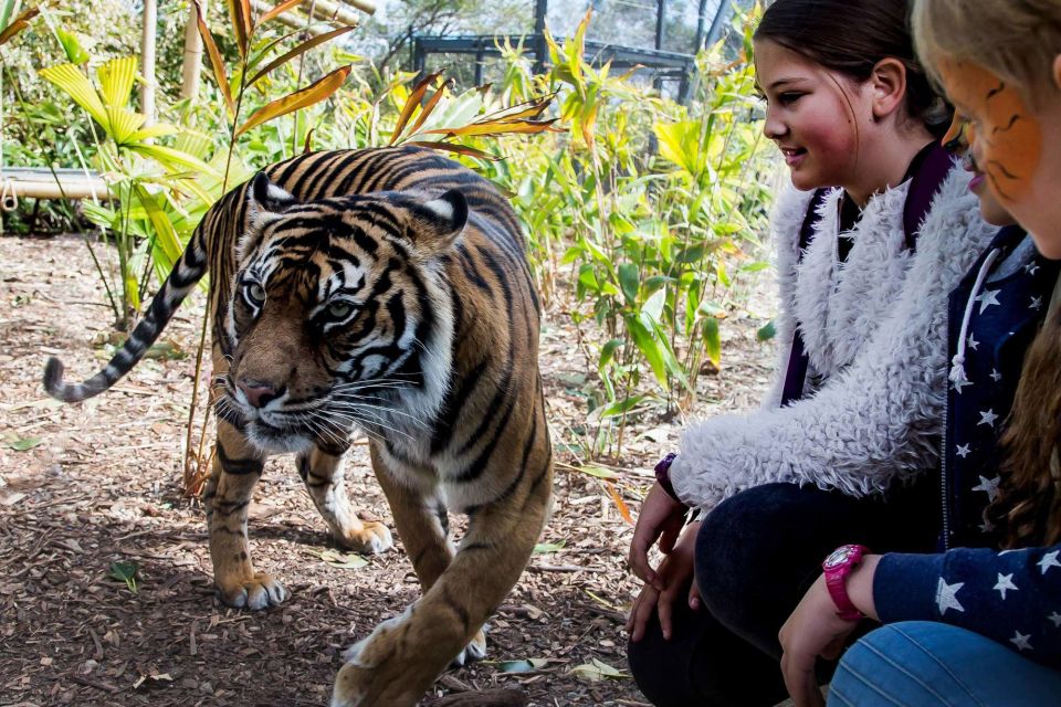 Sydney: Taronga Zoo & 24 or 48hr Sydney Harbour Hopper Pass - Frequently Asked Questions
