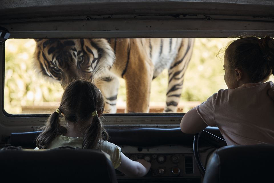 Sydney: Taronga Zoo & 24 or 48hr Sydney Harbour Hopper Pass - Recap