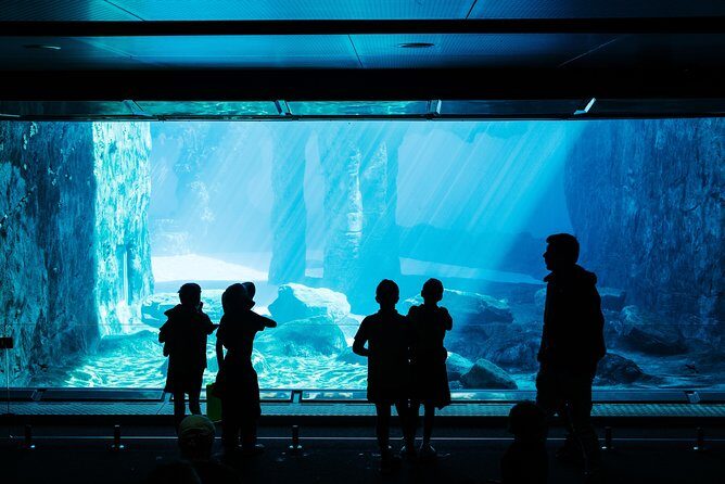 Sydney Taronga Zoo Wild Australia Experience - Practical Tips for Travelers