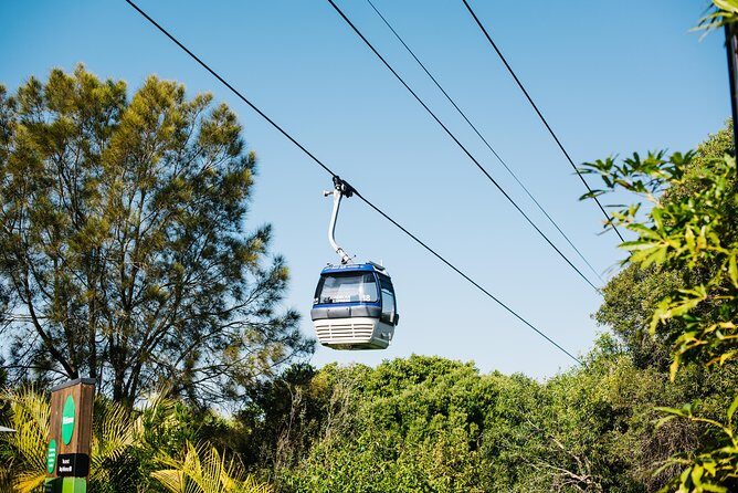 Sydney Taronga Zoo Wild Australia Experience - Final Thoughts