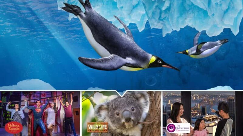 Sydney: Ultimate City Pass for 4 Attractions with Skywalk - Authentic Experiences and Traveler Feedback