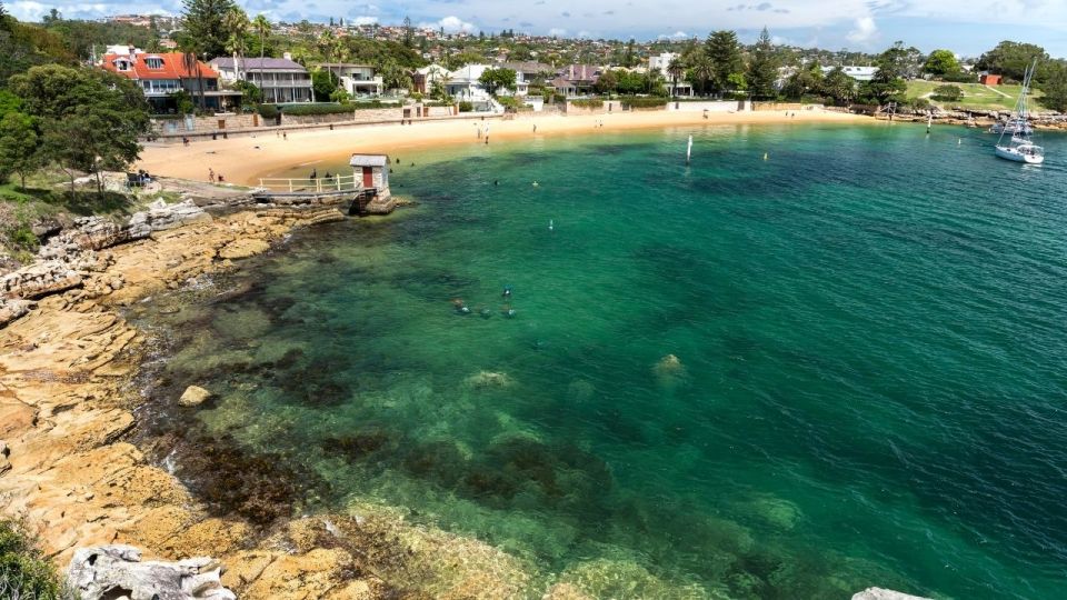 Sydney: Watsons Bay Walking Tour With Lunch and Coffee - Group Size and Cancellation Policy