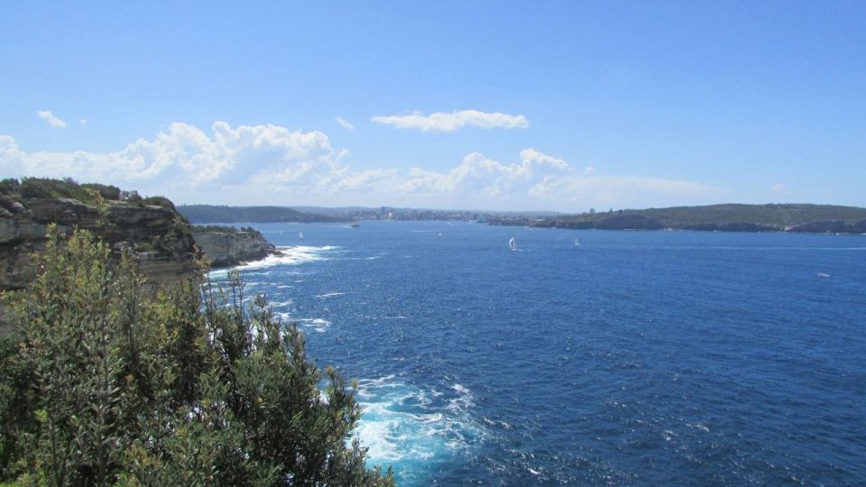 Sydney: Watsons Bay Walking Tour With Lunch and Coffee - Important Information and Reviews
