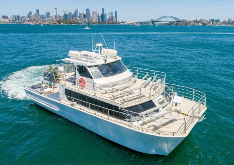 Sydney: Whale Watching Adventure Cruise - An Honest Look at the Sydney Whale Watching Cruise