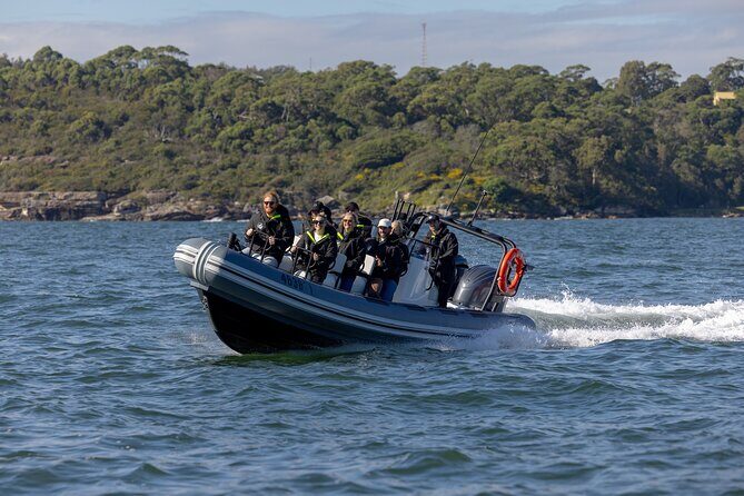 Sydney Whale Watching on Small RIB - Practical Details and Value