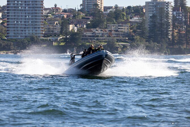 Sydney Whale Watching on Small RIB - Authentic Feedback from Travelers