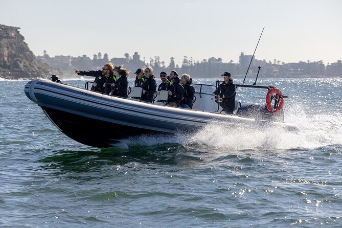 Sydney Whale Watching on Small RIB - Who Should Consider This Tour?