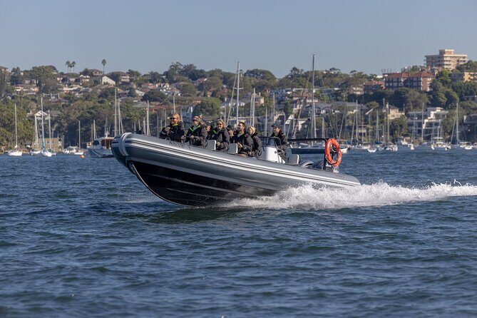 Sydney Whale Watching on Small RIB - FAQ