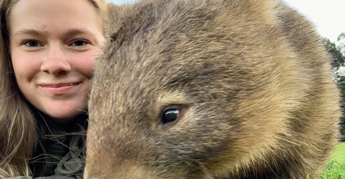 Sydney: Wild Wombats and Kangaroo Experience - Inclusions