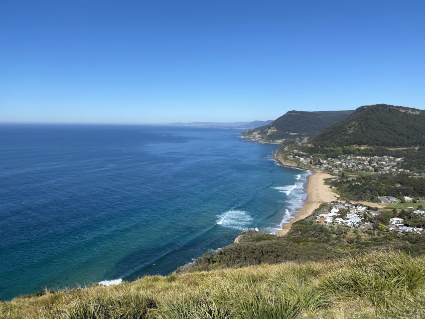 Sydney: Wild Wombats and Kangaroo Experience - Traveler Reviews